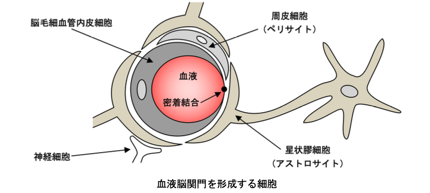解説画像